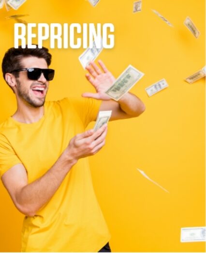 Hotel repricing