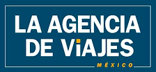 Workshop Ladevi México